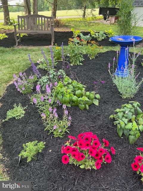 BRIDLEWOOD FARMS - Residential