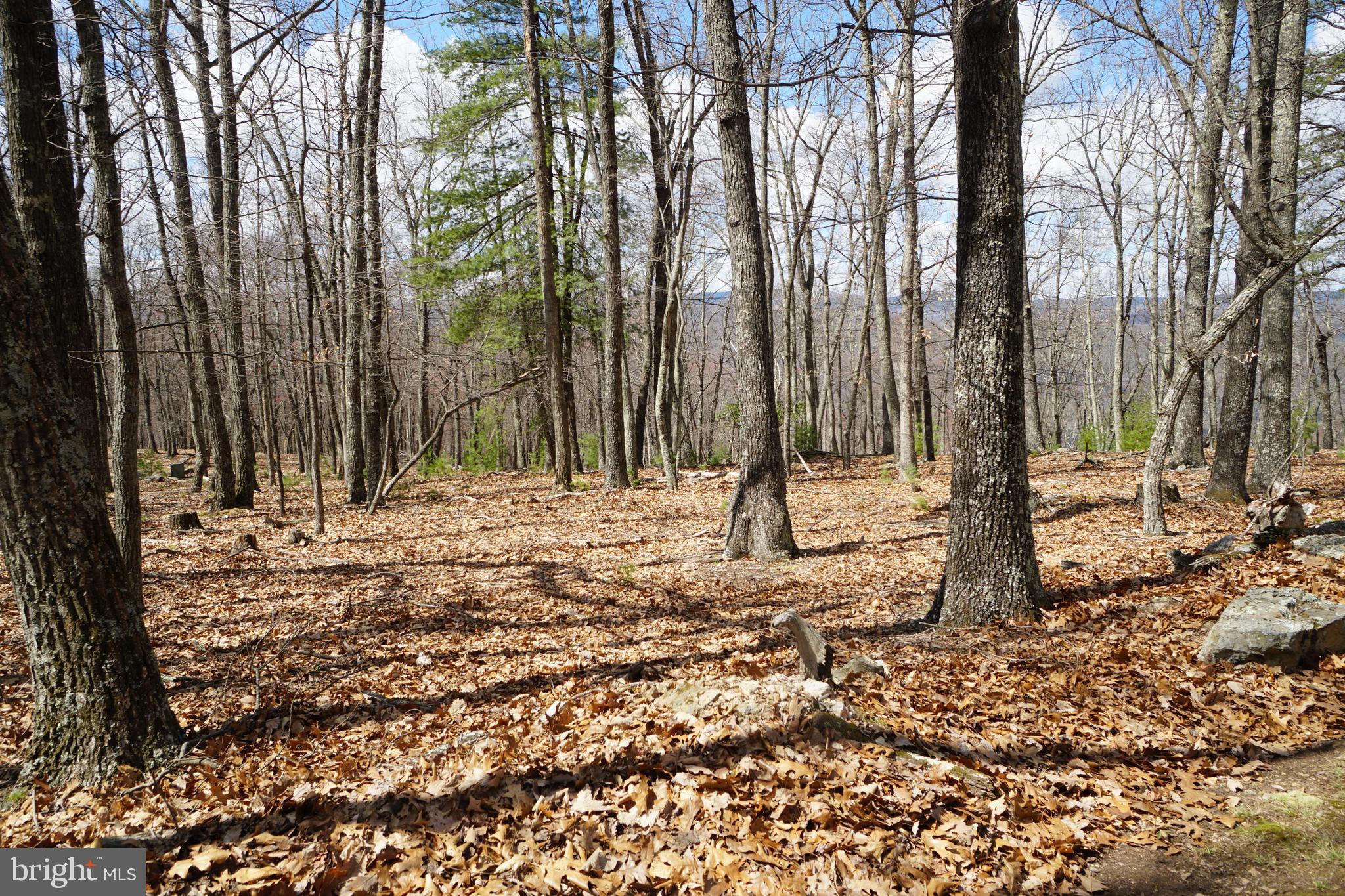 BUCK RIDGES (FORMERLY TREASURE MOUNTAINS) - Residential