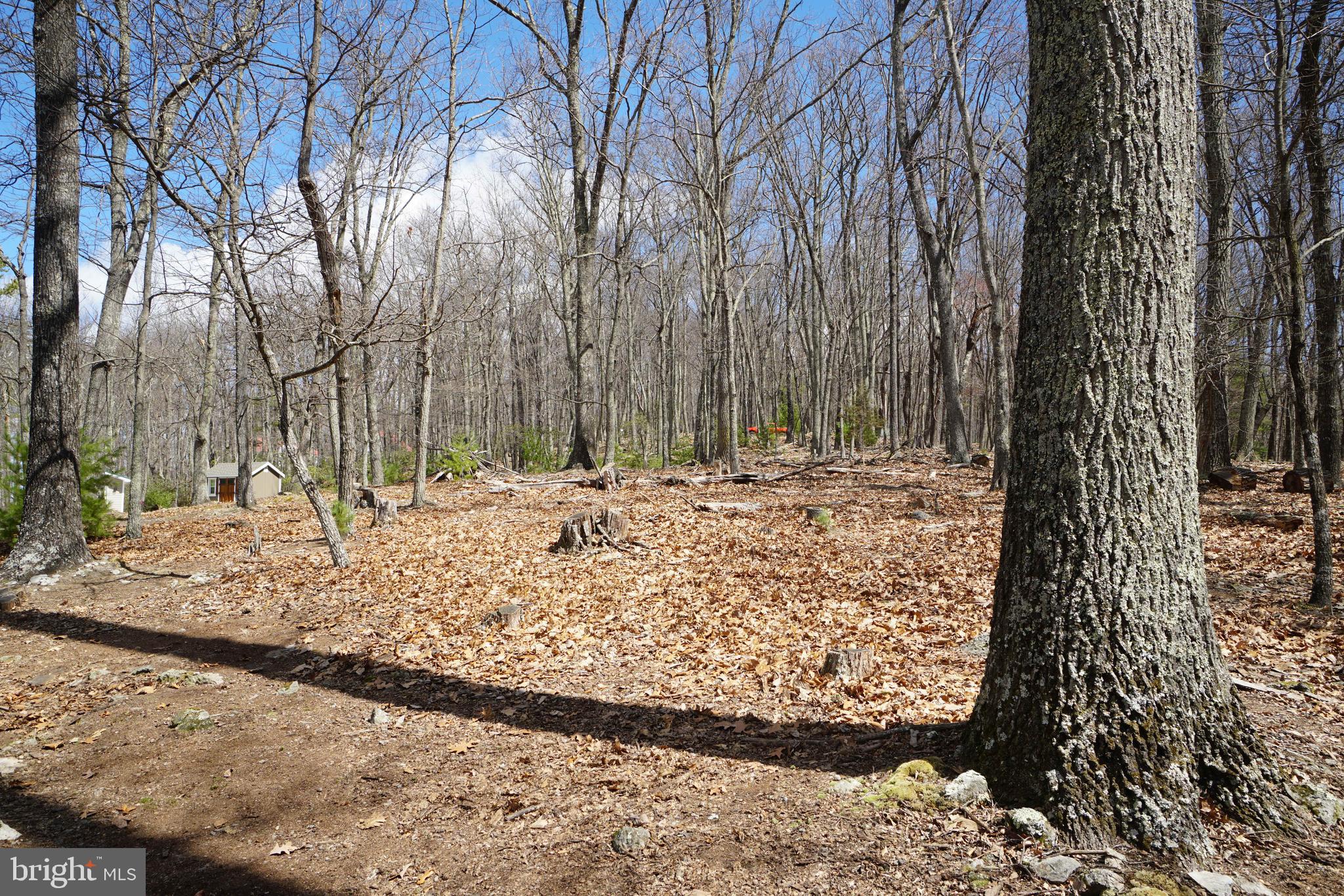 BUCK RIDGES (FORMERLY TREASURE MOUNTAINS) - Residential