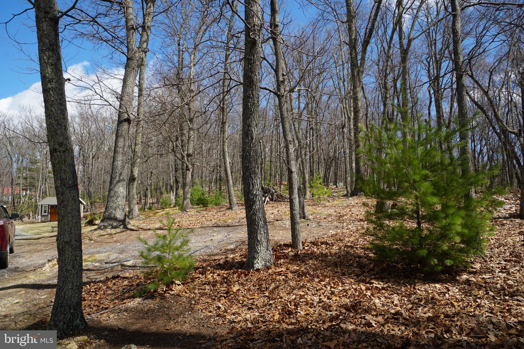 BUCK RIDGES (FORMERLY TREASURE MOUNTAINS) - Residential