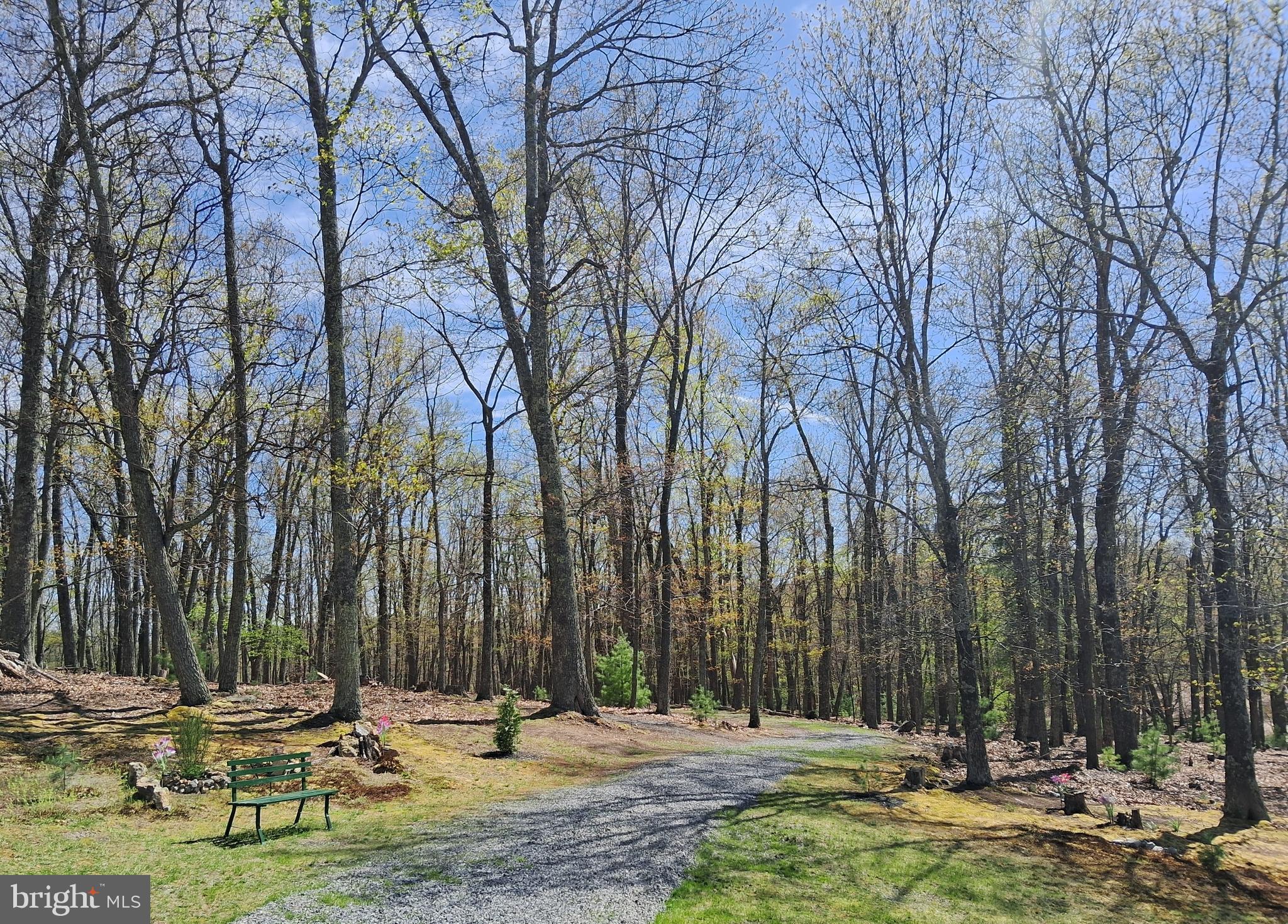 BUCK RIDGES (FORMERLY TREASURE MOUNTAINS) - Residential