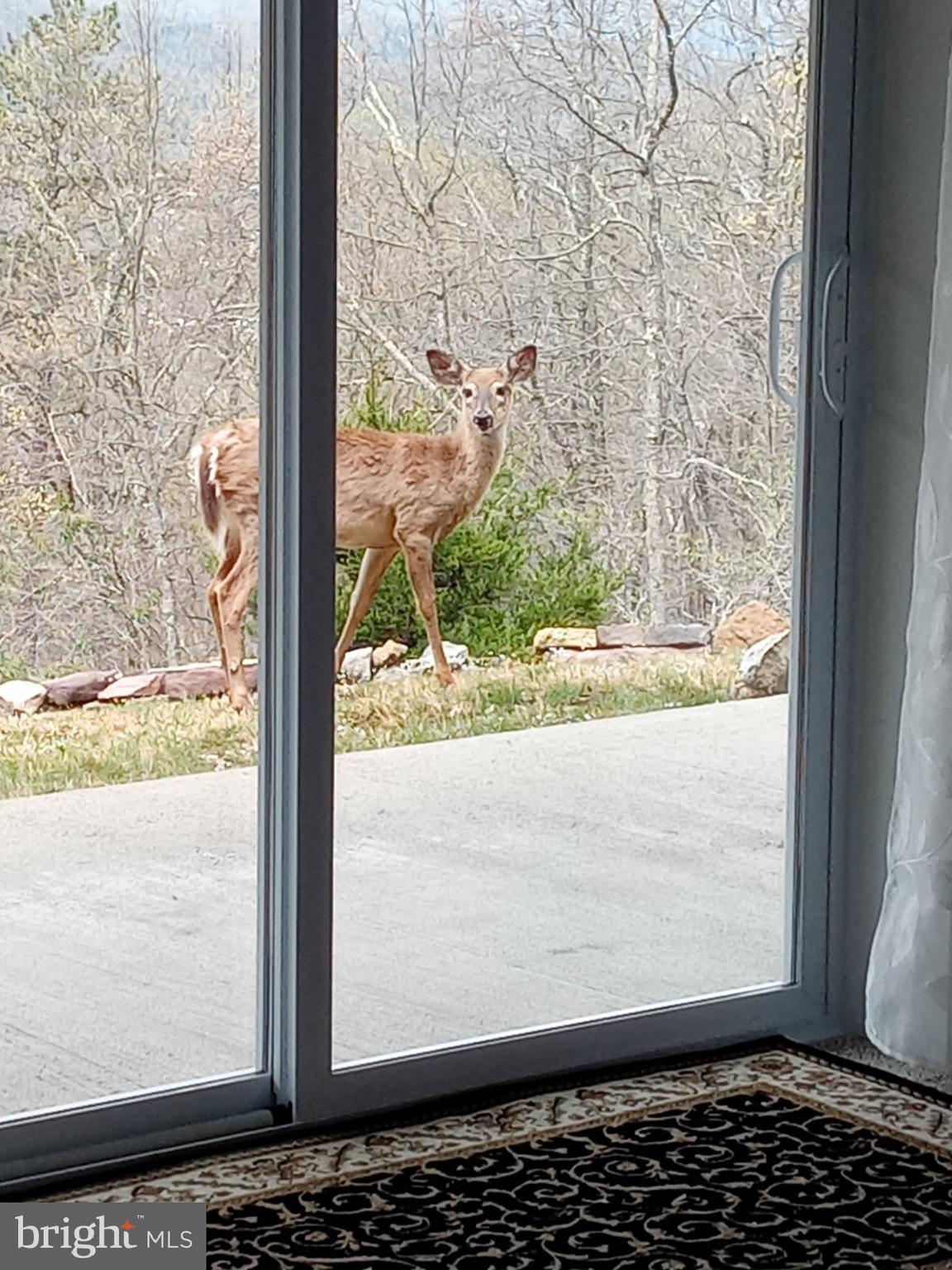 BUCK RIDGES (FORMERLY TREASURE MOUNTAINS) - Residential