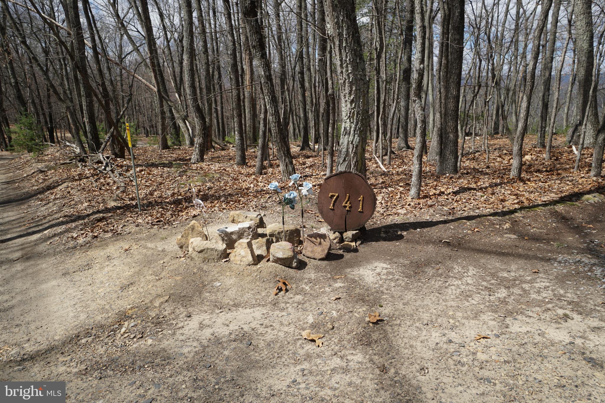 BUCK RIDGES (FORMERLY TREASURE MOUNTAINS) - Residential