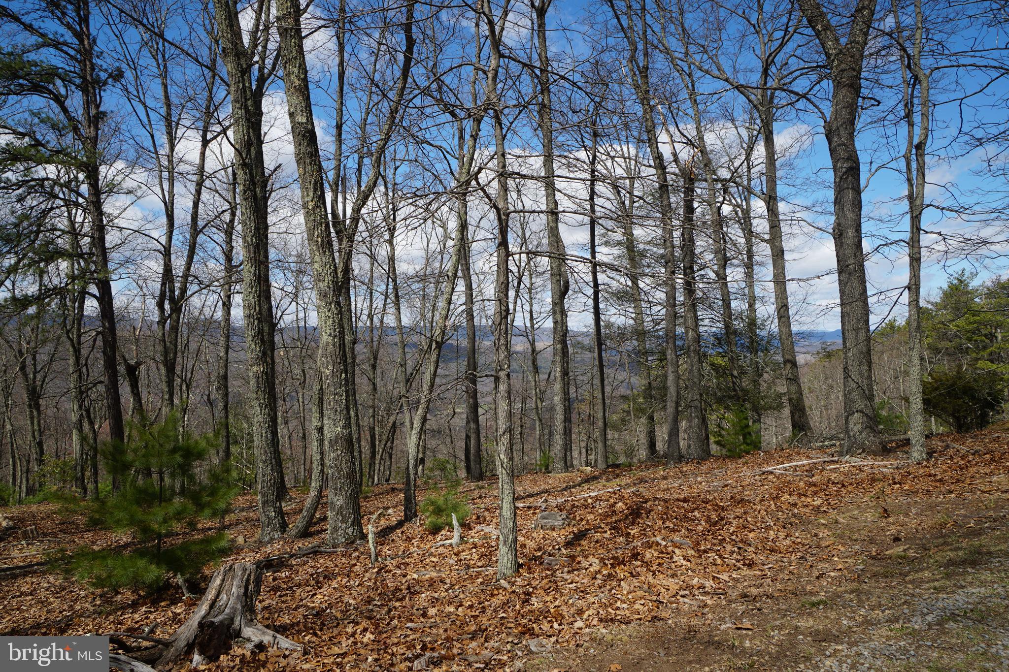 BUCK RIDGES (FORMERLY TREASURE MOUNTAINS) - Residential