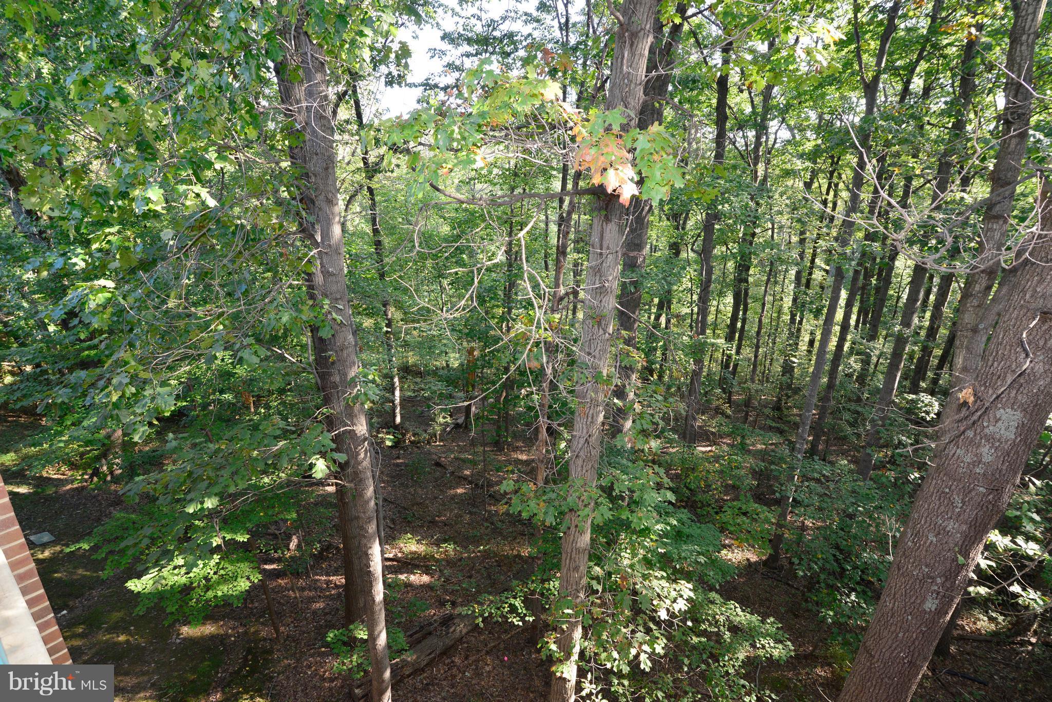 HUNTERS WOODS VILLAGE - Residential