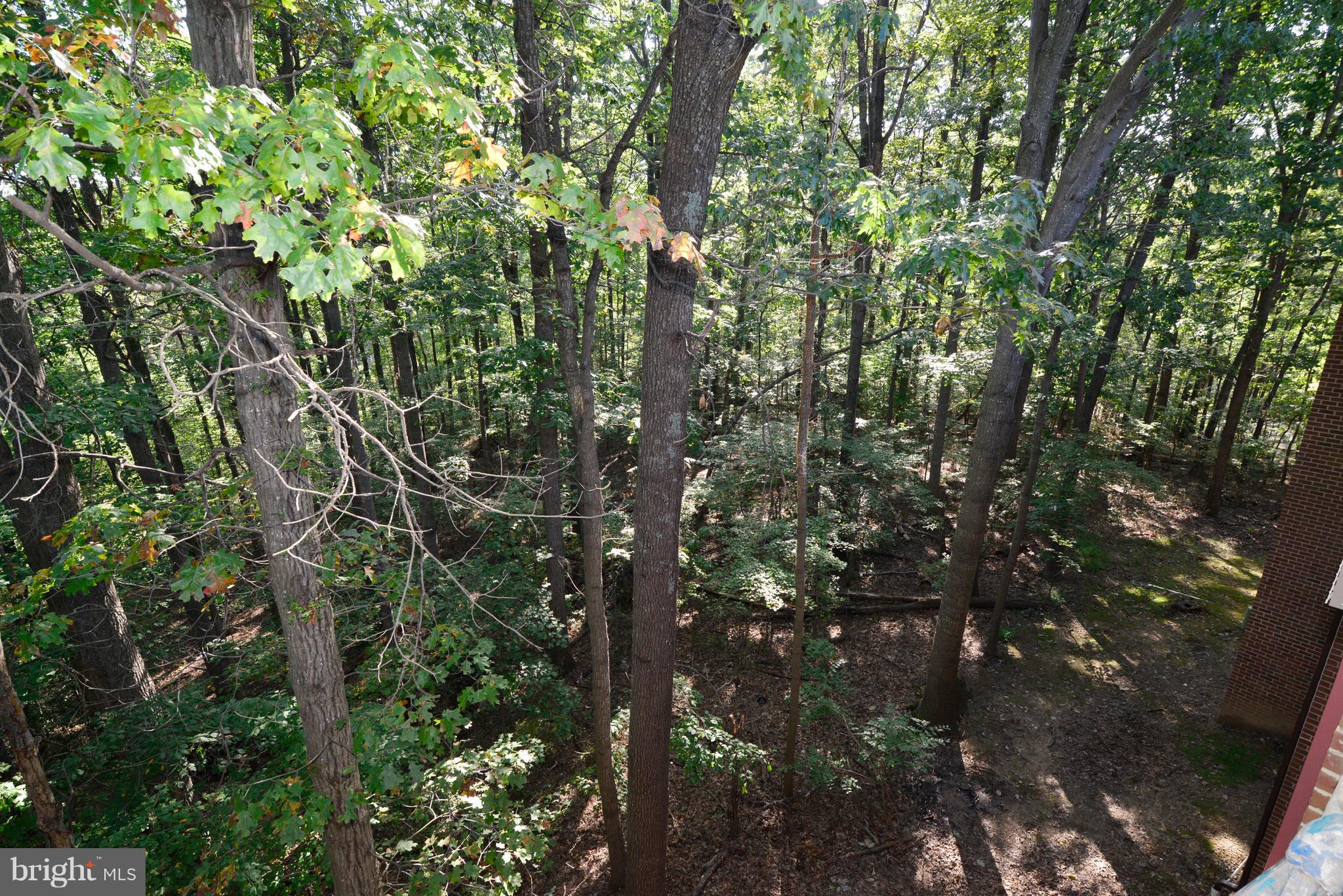 HUNTERS WOODS VILLAGE - Residential