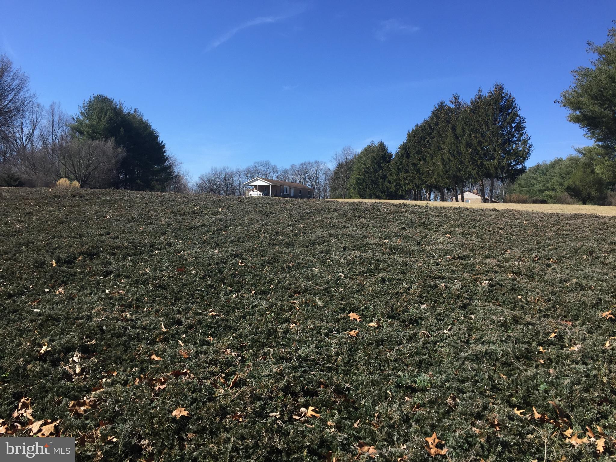 BLOOM VALLEY - Residential