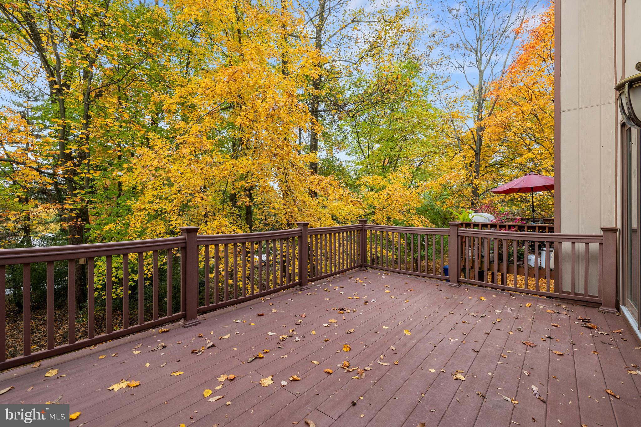 BRIGHT LEAF - Residential