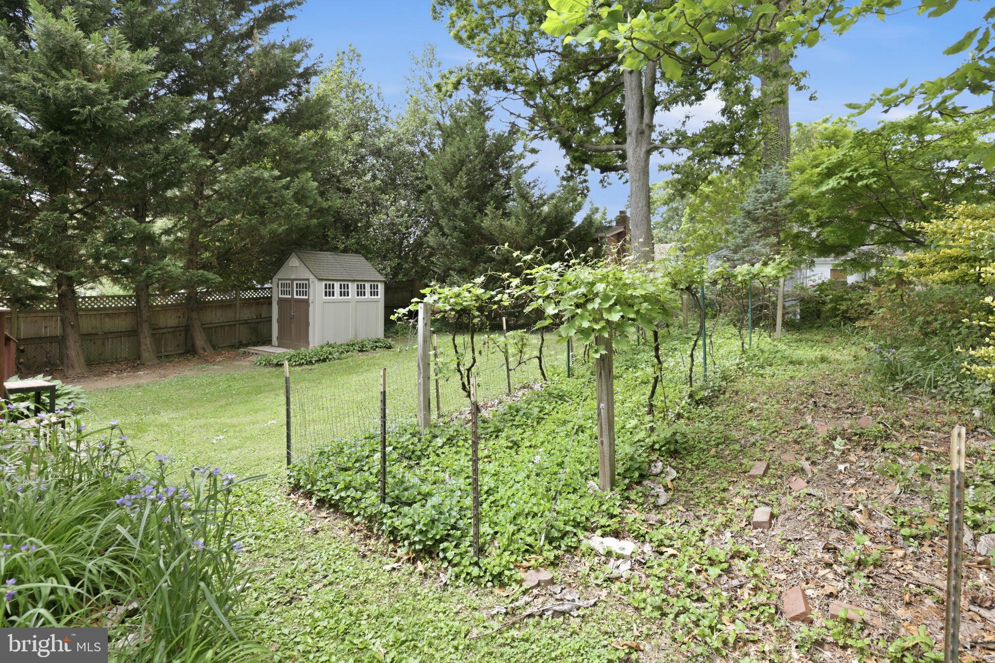 CHESTNUT RIDGE MANOR - Residential