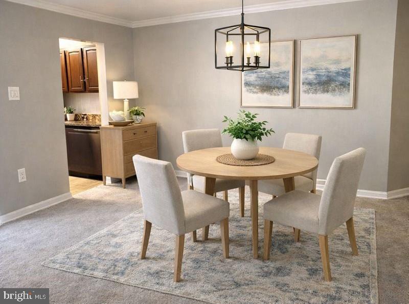 5606 BLOOMFIELD DRIVE 101