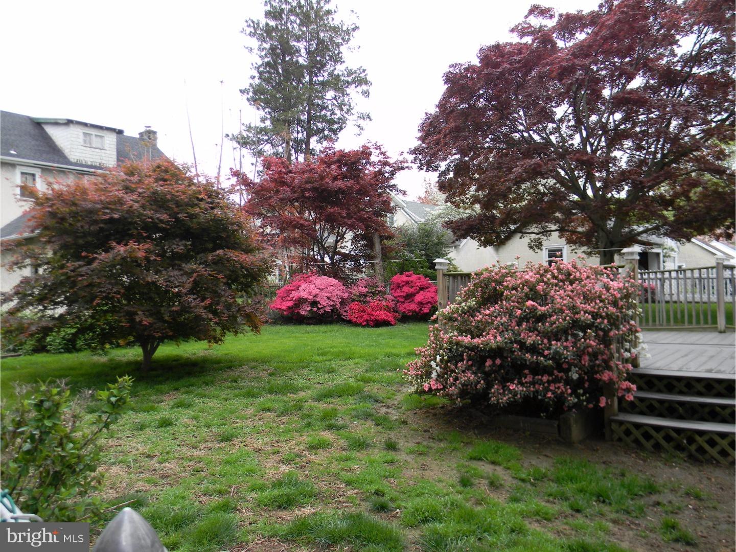 DREXEL HILL - Residential