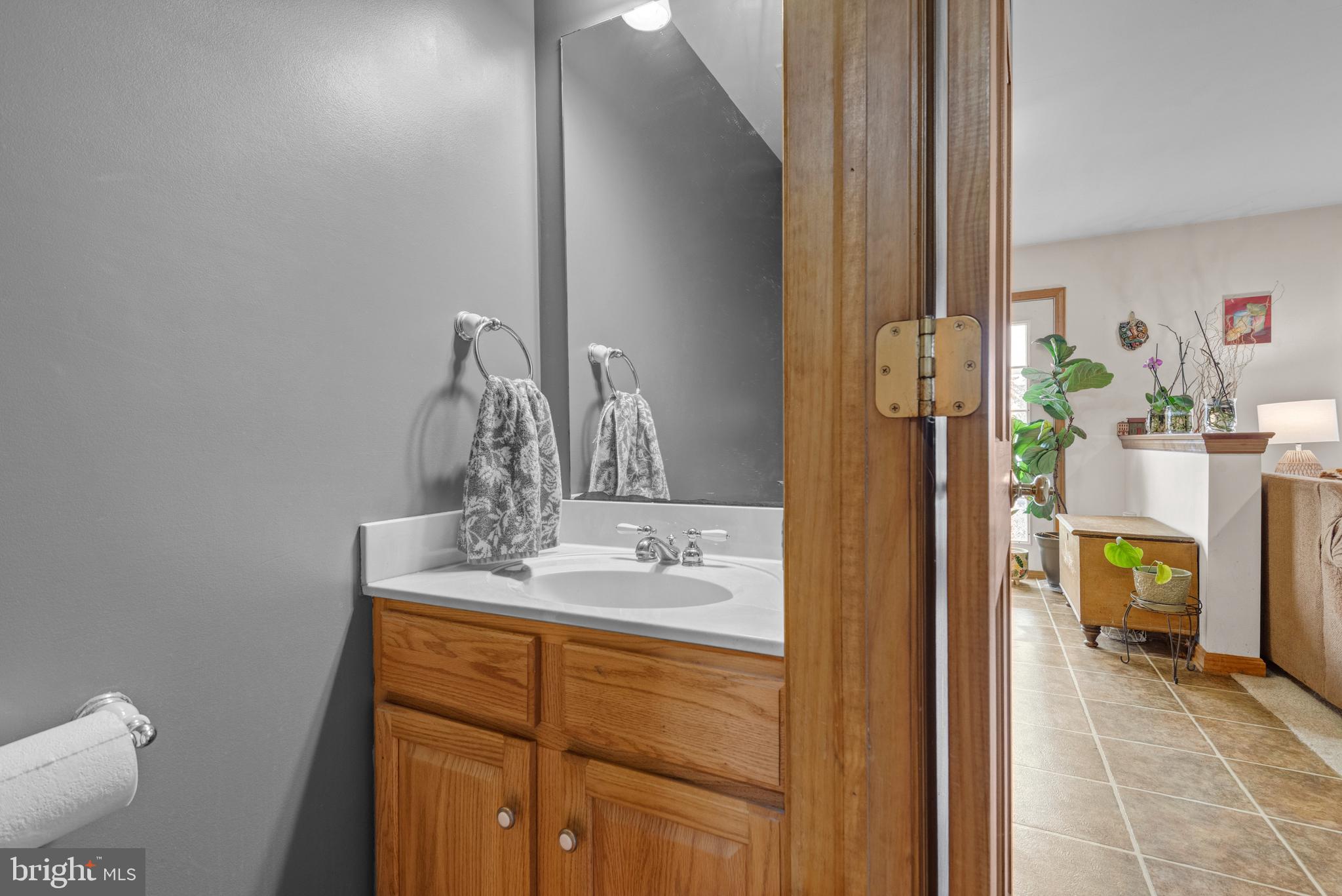 HAMLET AT BIRD-IN-HAND - Residential