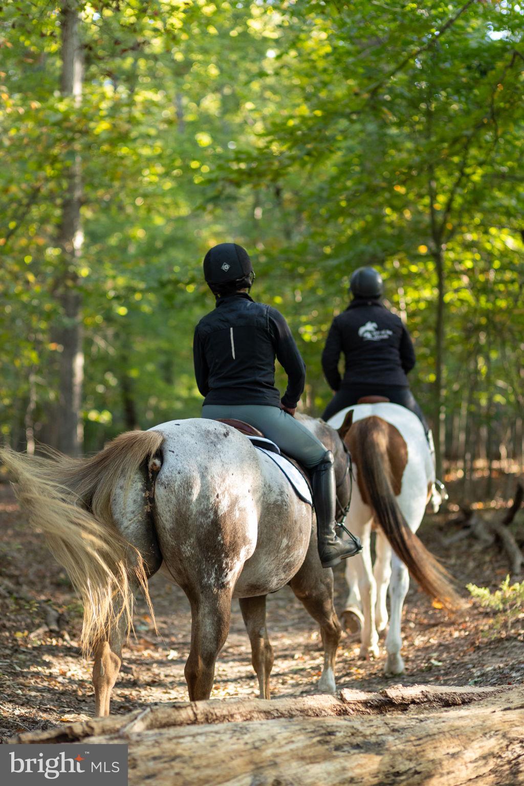 LAKE OF THE WOODS - Residential