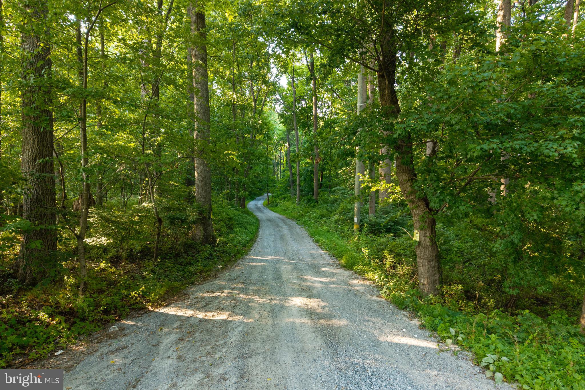 639 N FIVE POINT ROAD 118