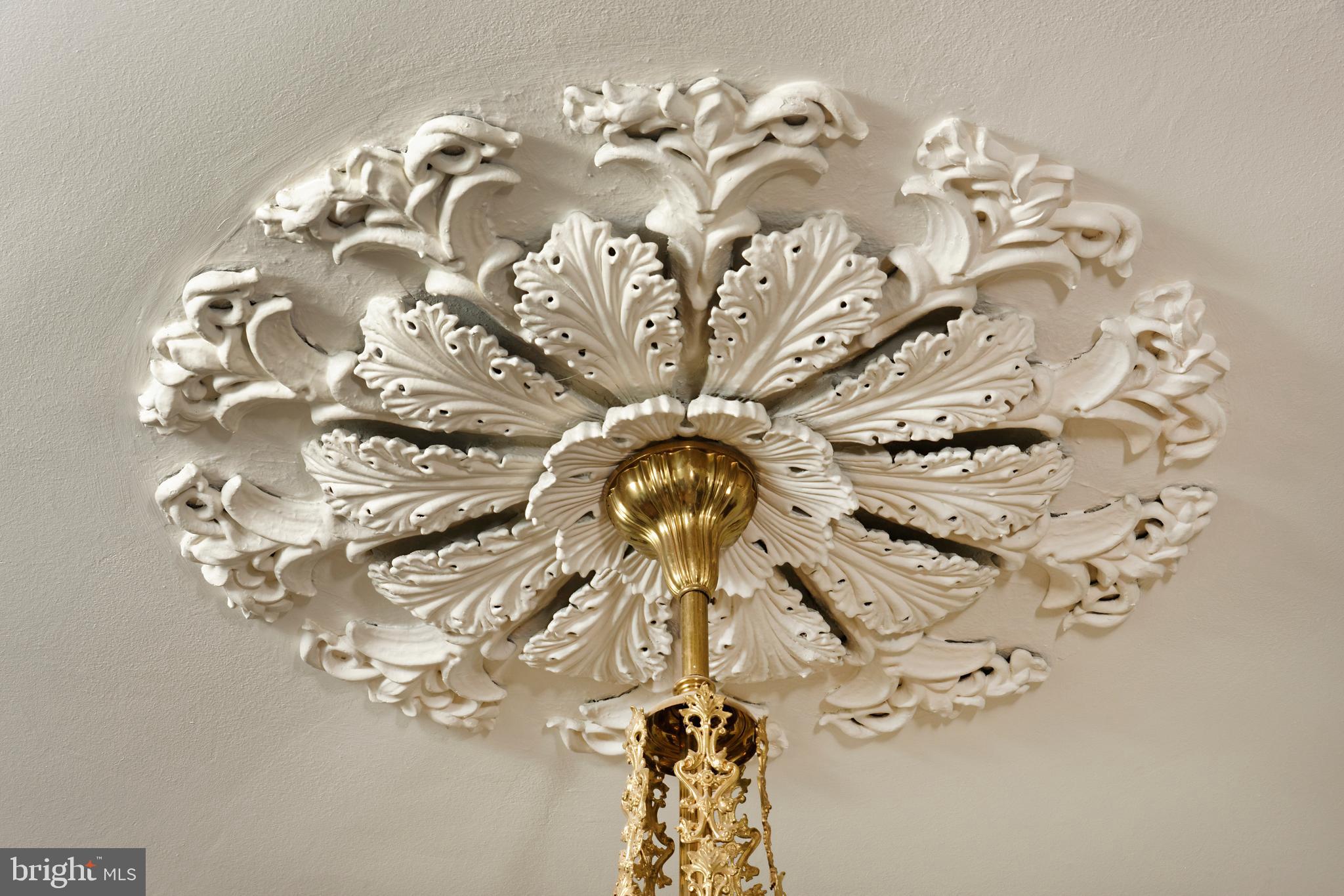 OLD TOWN ALEXANDRIA - Residential