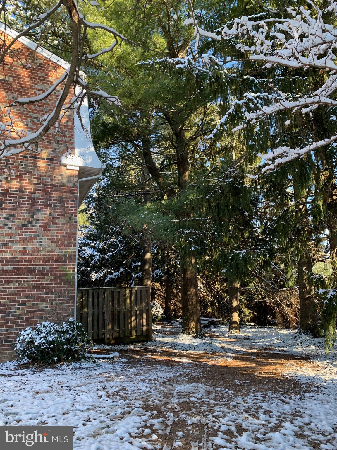 DIAMOND FARM CODM - Residential Lease