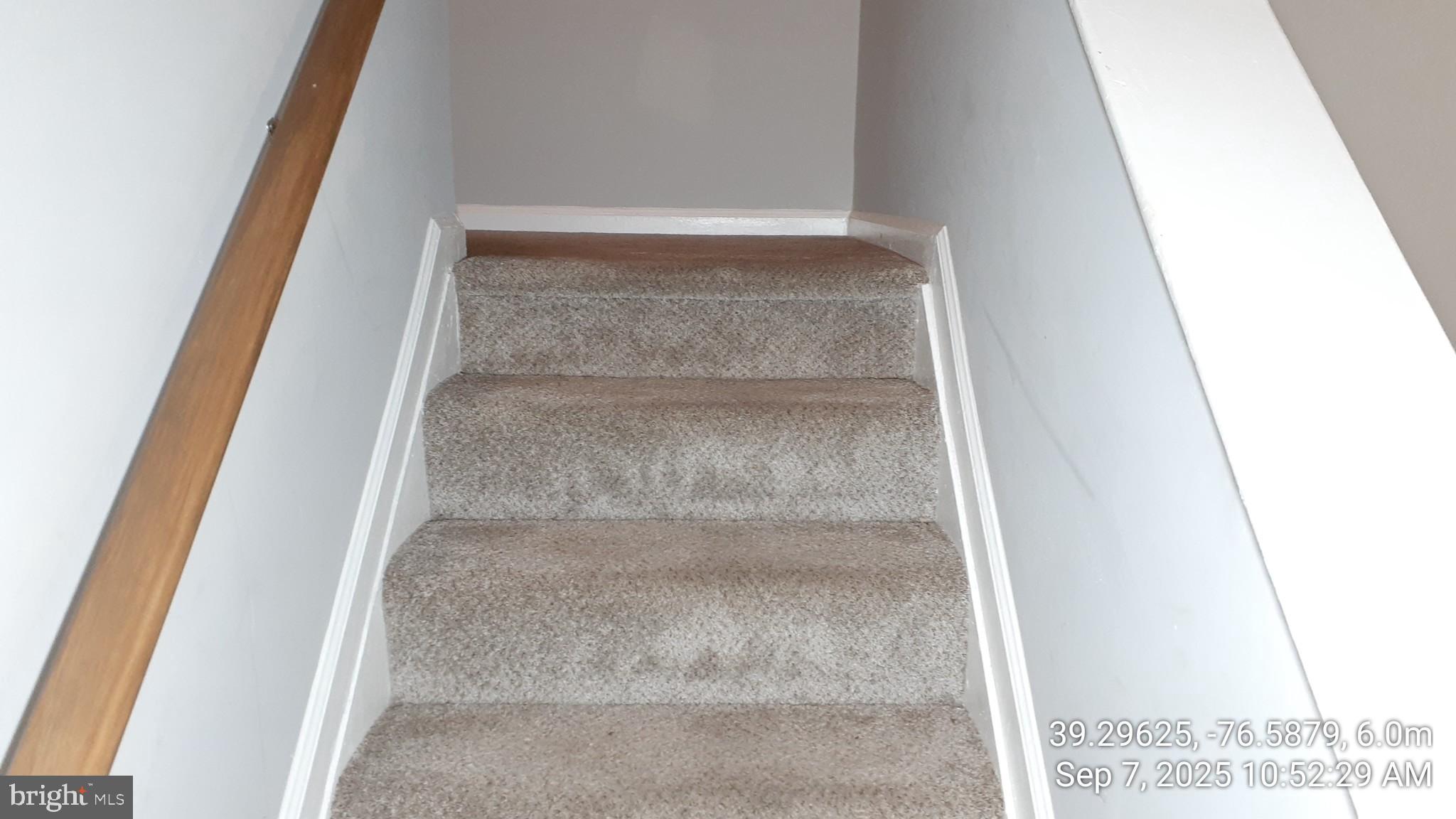 BUTCHERS HILL - Residential Lease