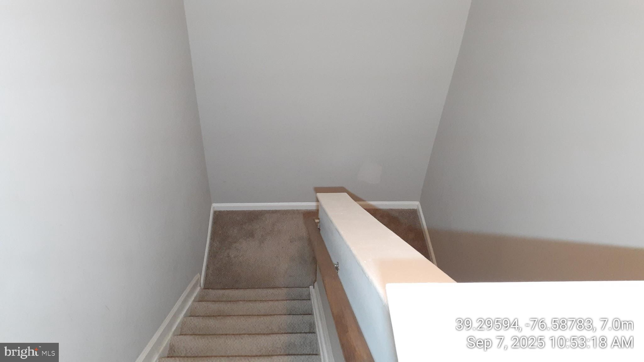 BUTCHERS HILL - Residential Lease