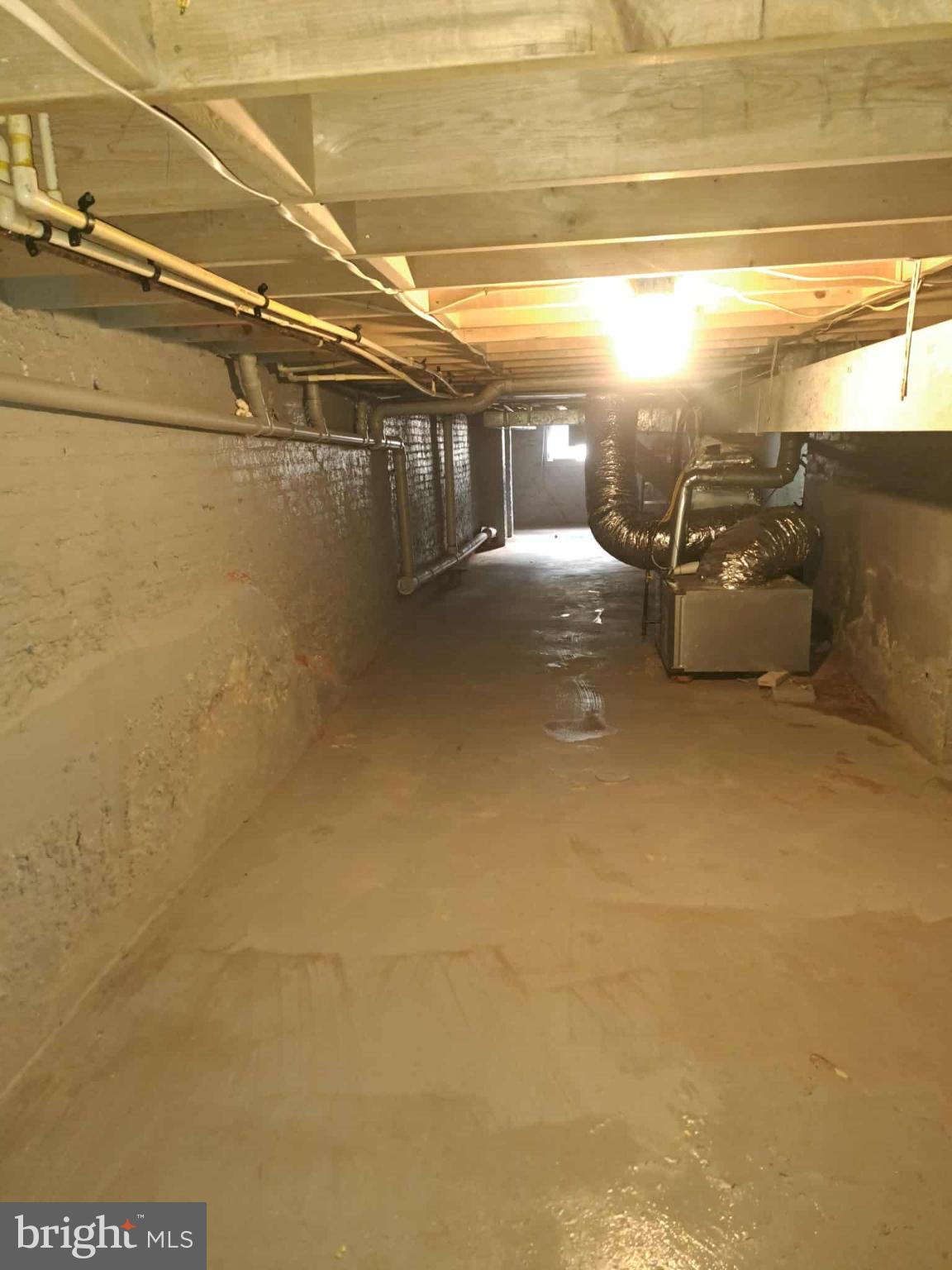 BUTCHERS HILL - Residential Lease