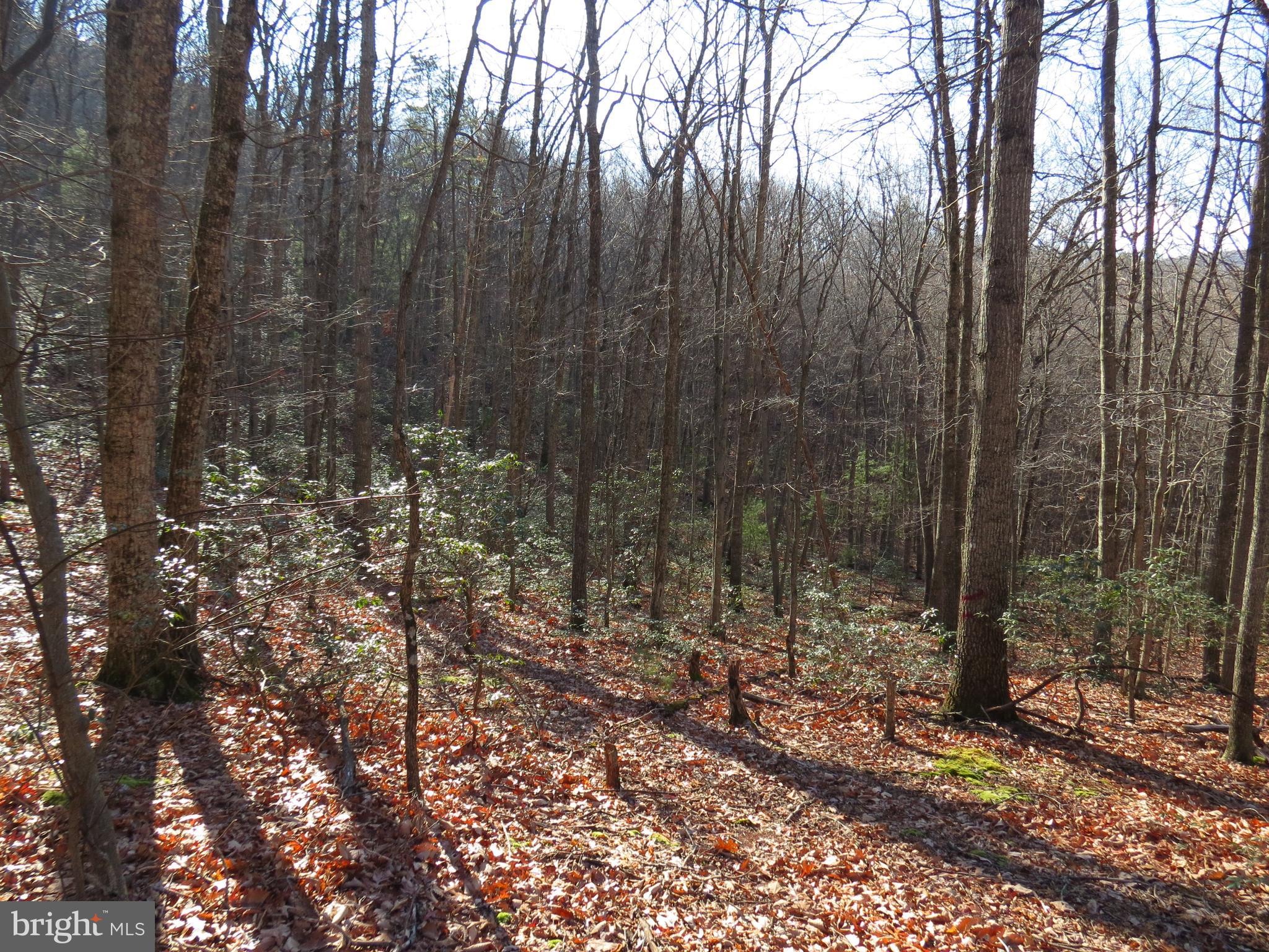 12 CEDARWOOD DRIVE ROAD