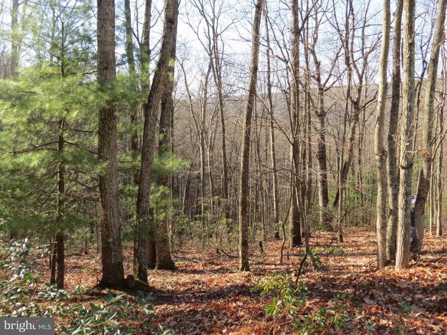 Nice 3.38 wooded acre lot in Lost River Mountain SD.   Come build your get away or permanent dwelling.