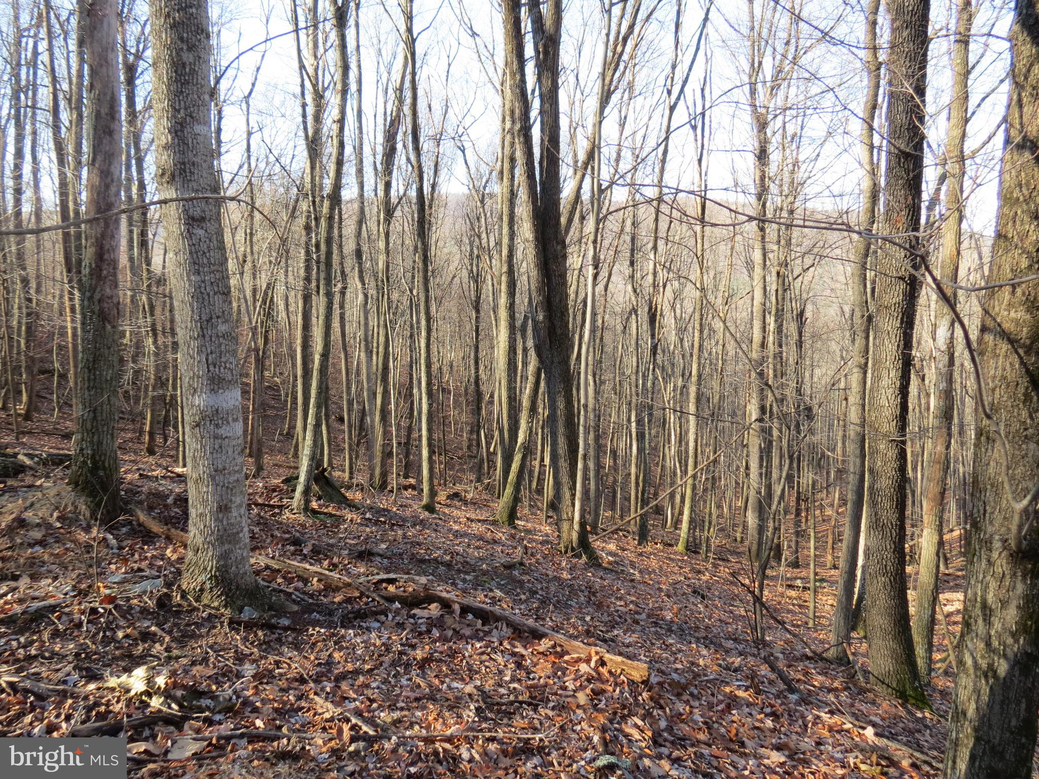 12 CEDARWOOD DRIVE ROAD