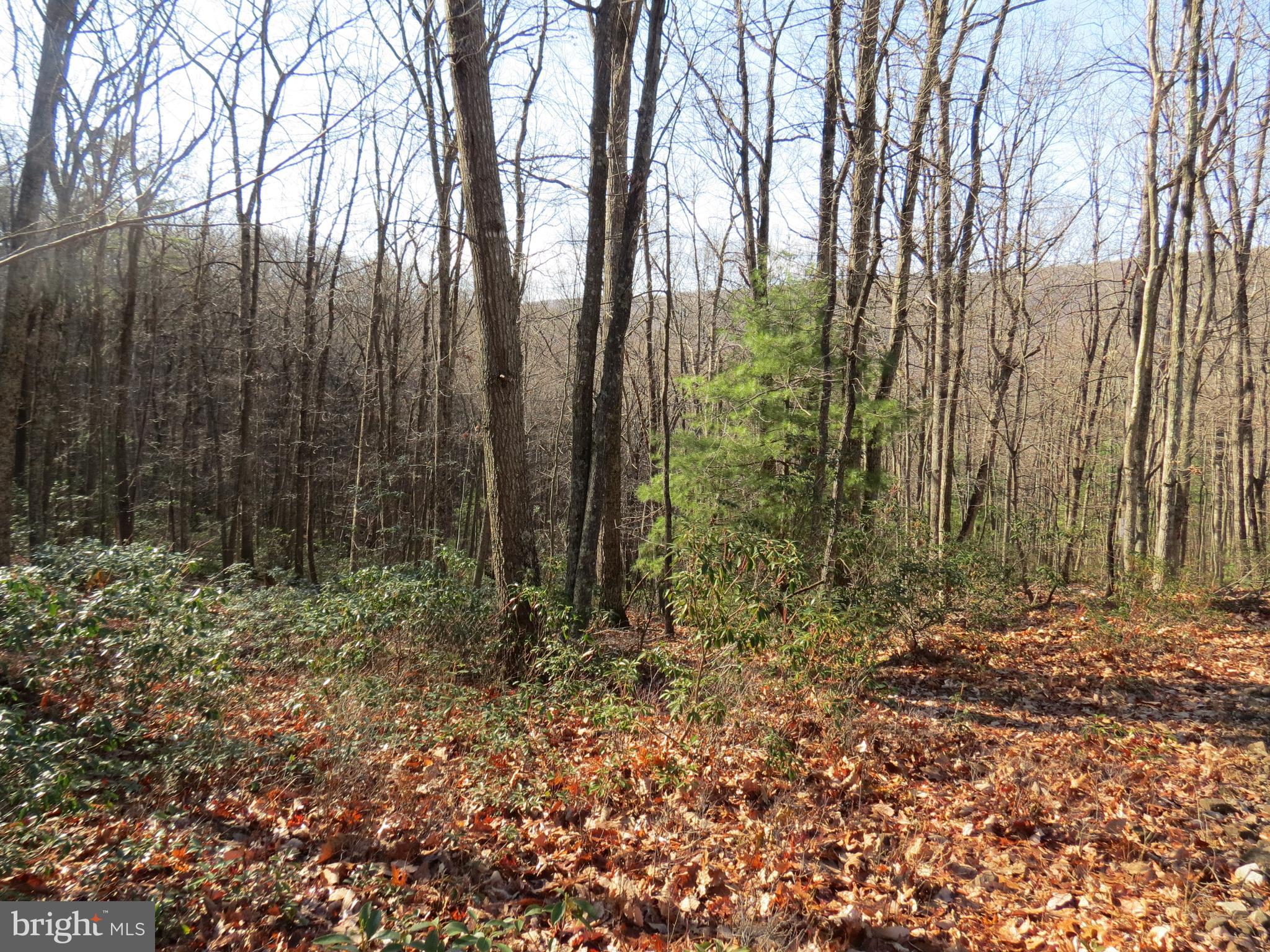 12 CEDARWOOD DRIVE ROAD