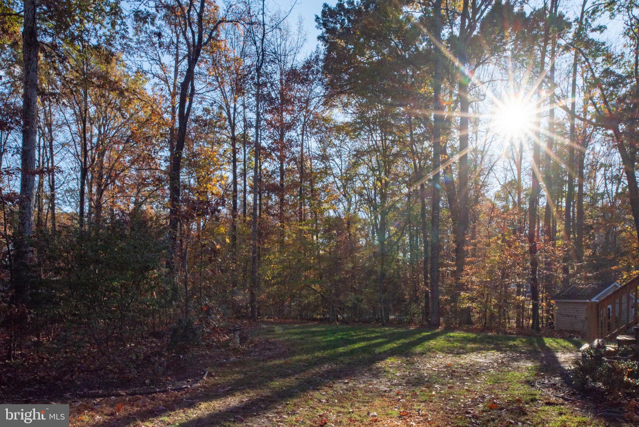 BRANDYWOOD ESTATE - Residential