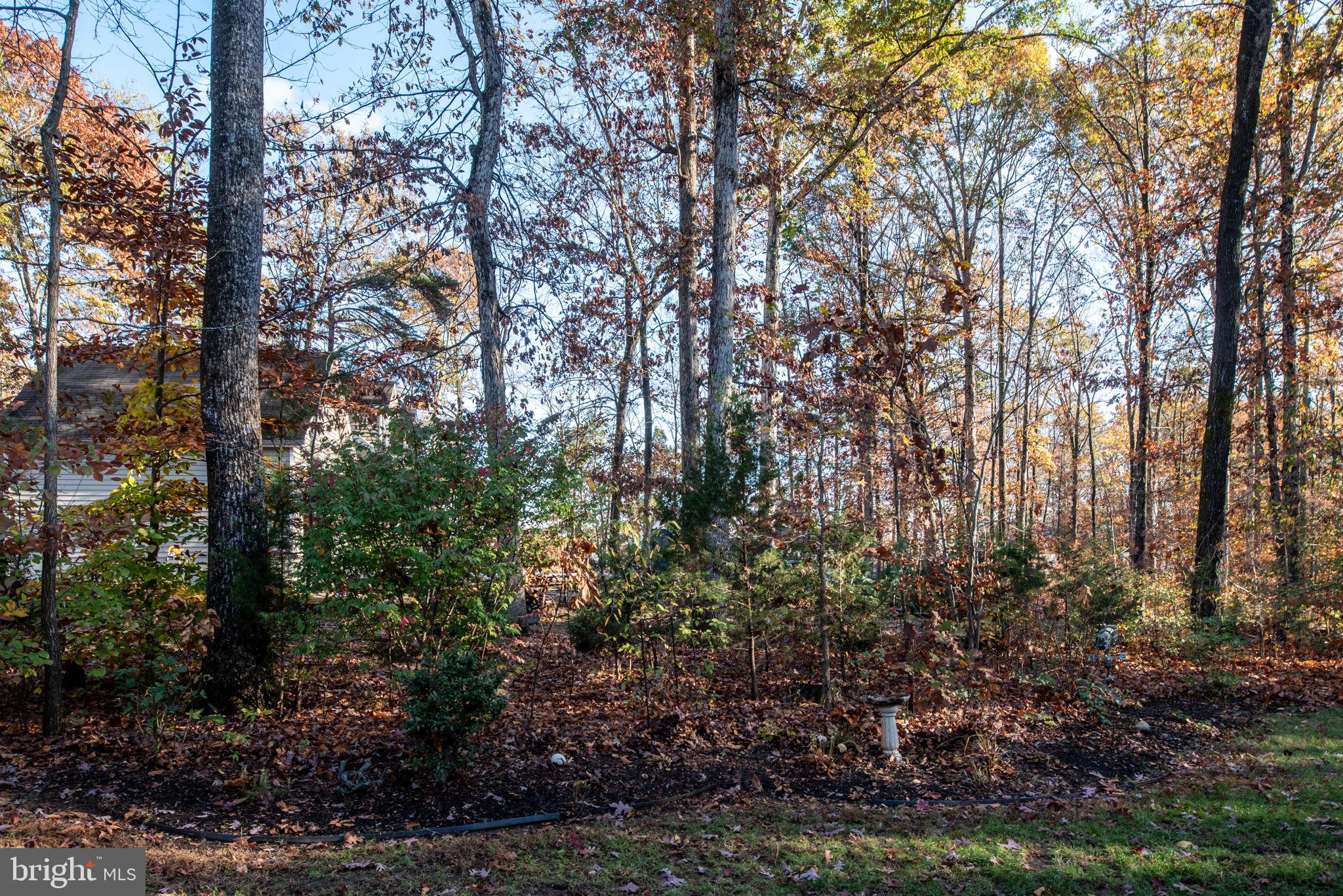 BRANDYWOOD ESTATE - Residential