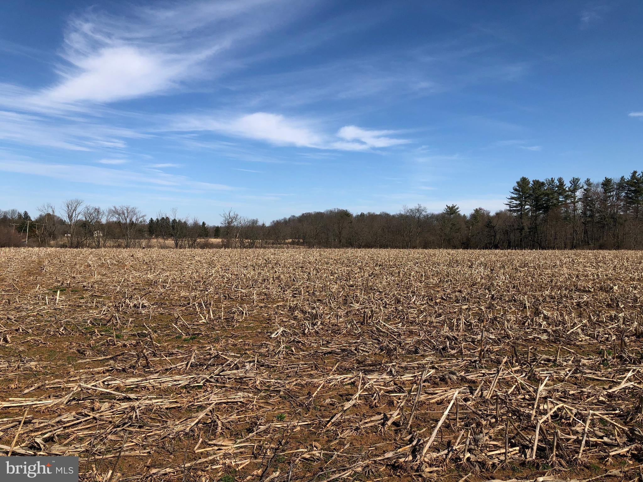 Incredible opportunity to own 98 tranquil acres in Buckingham Township. Gently rolling, mostly open acreage with one area of woods and a small stream running through it. The property extends from New Hope Rd to Smith Rd. Currently about 70% is being farmed. Subject to a Conservation Easement with homesite/building restrictions. Call for details.
Also offered as Land, MLS#, New Construction, MLS#