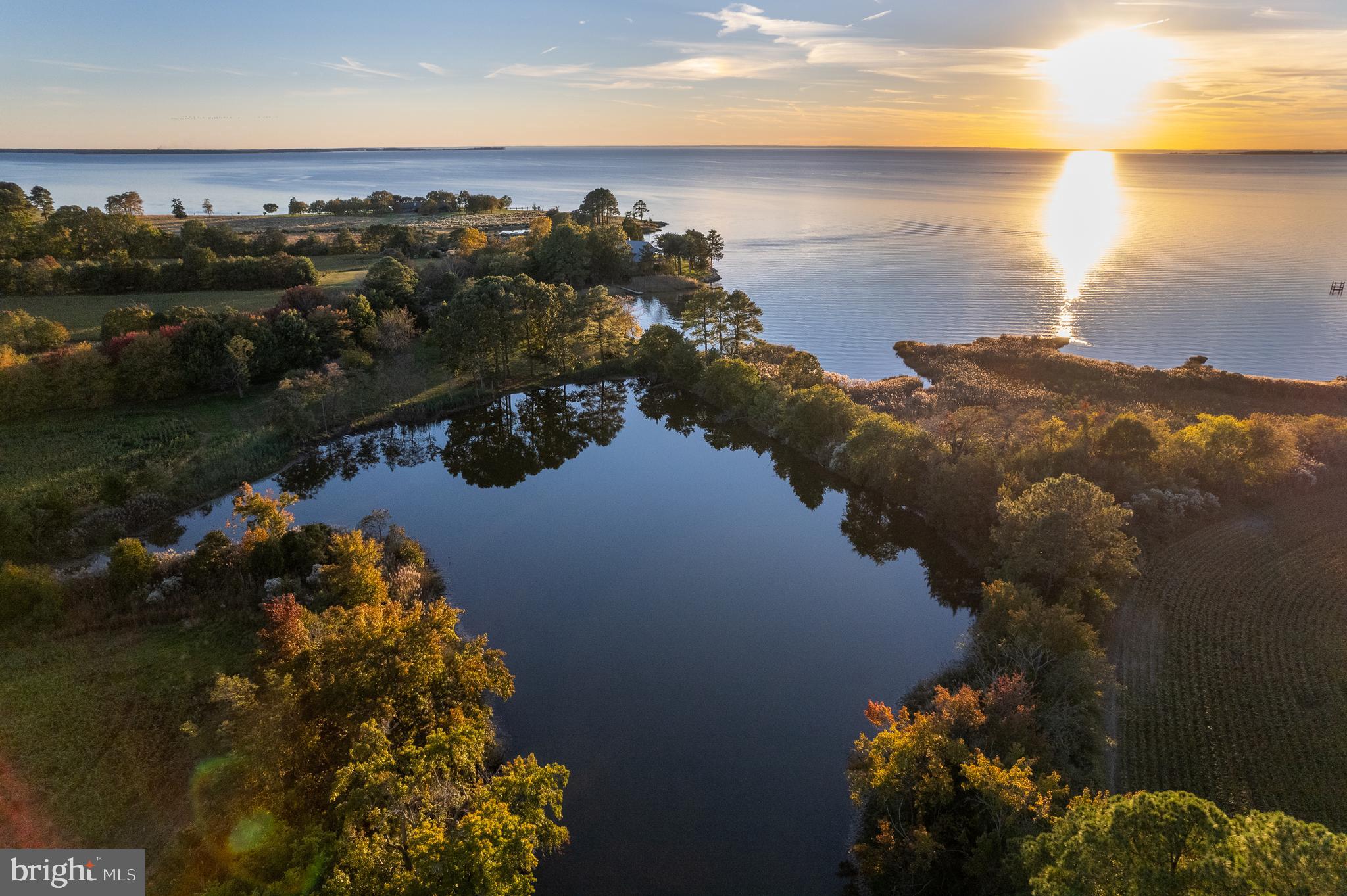 ROYAL OAK - Residential