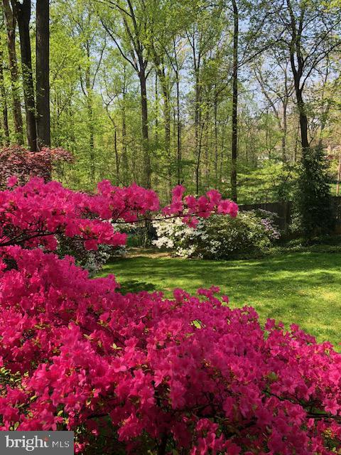 WOODHAVEN - Residential