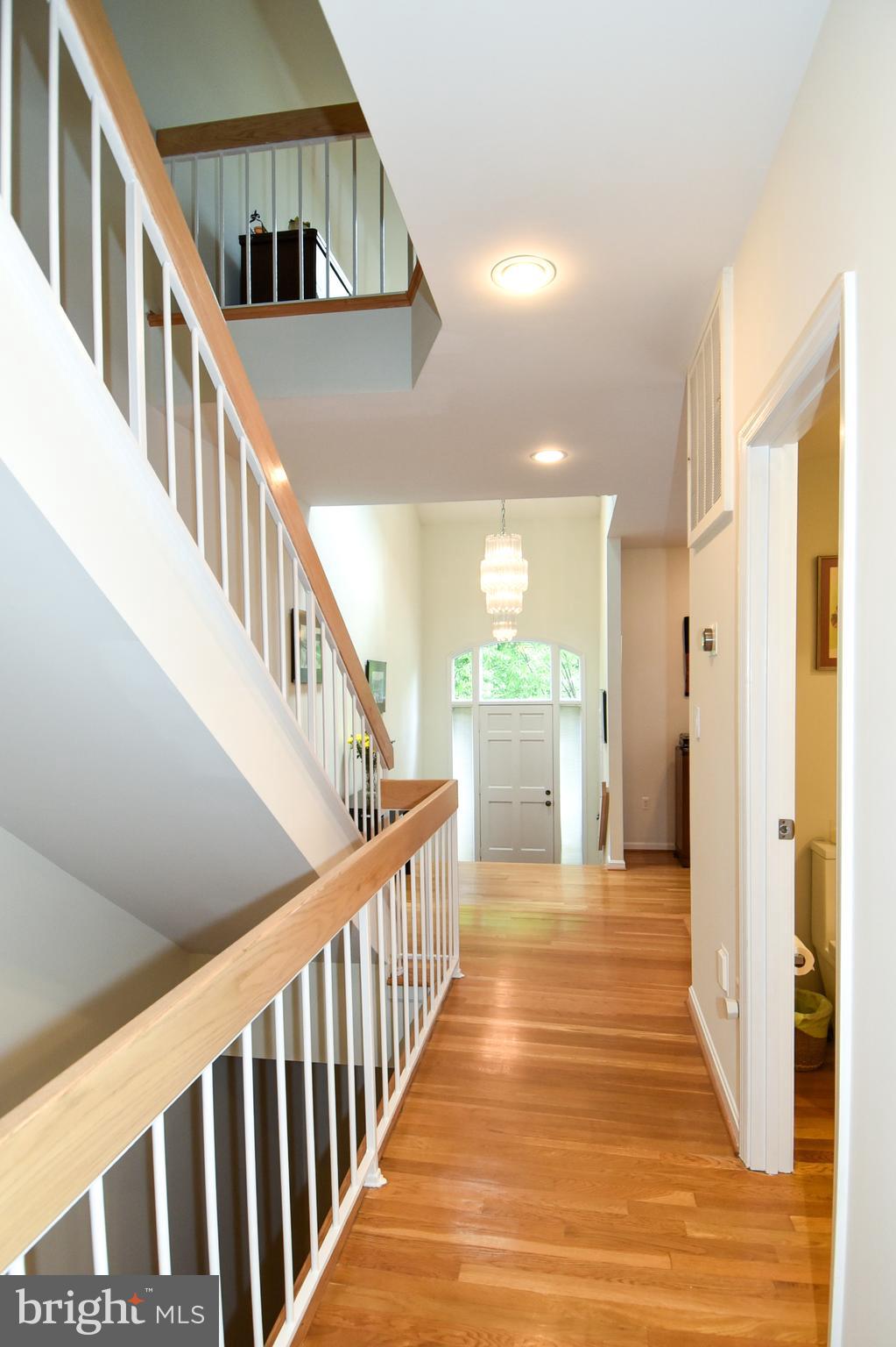 MASS AVE FOREST - Residential