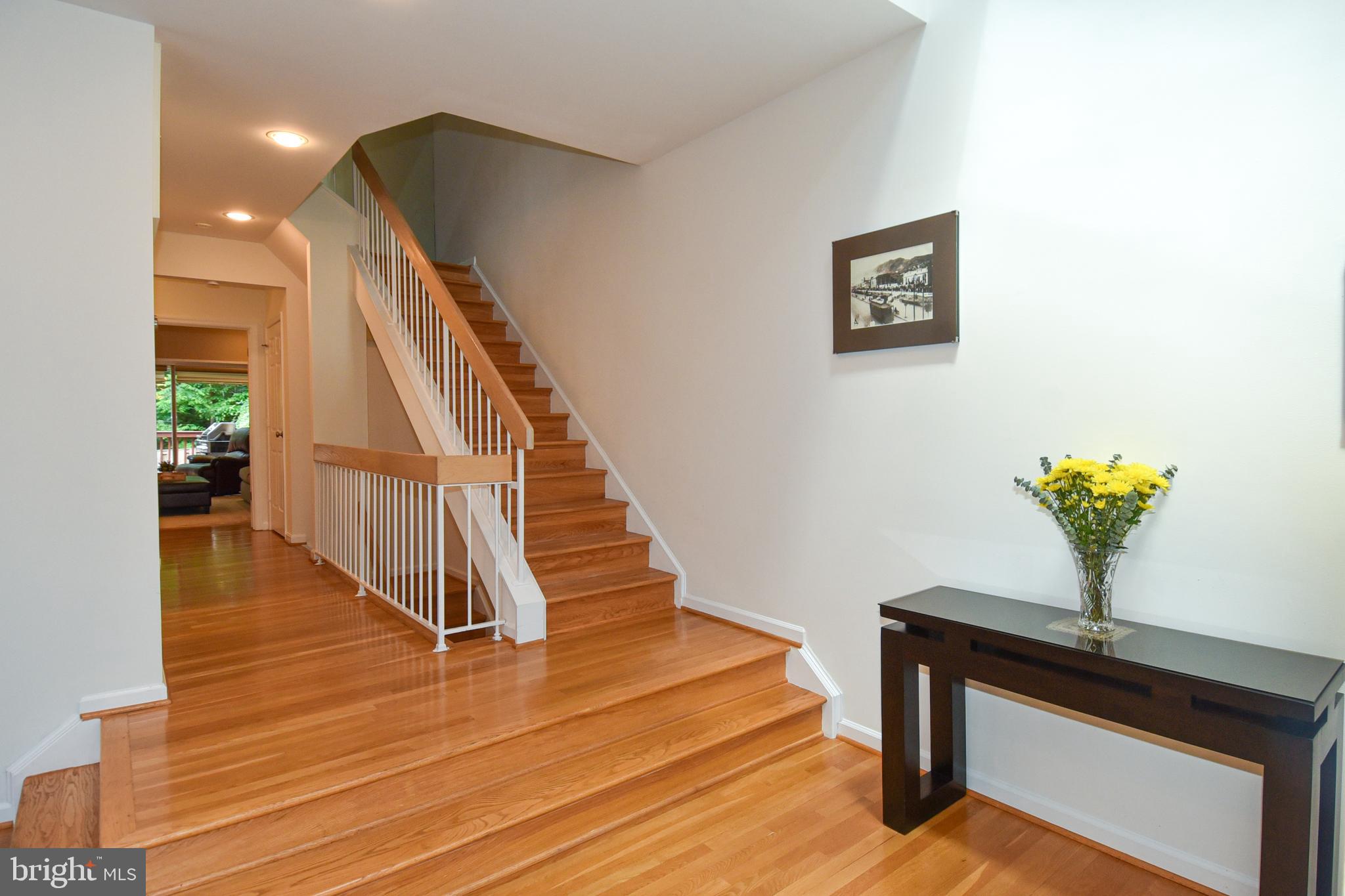 MASS AVE FOREST - Residential