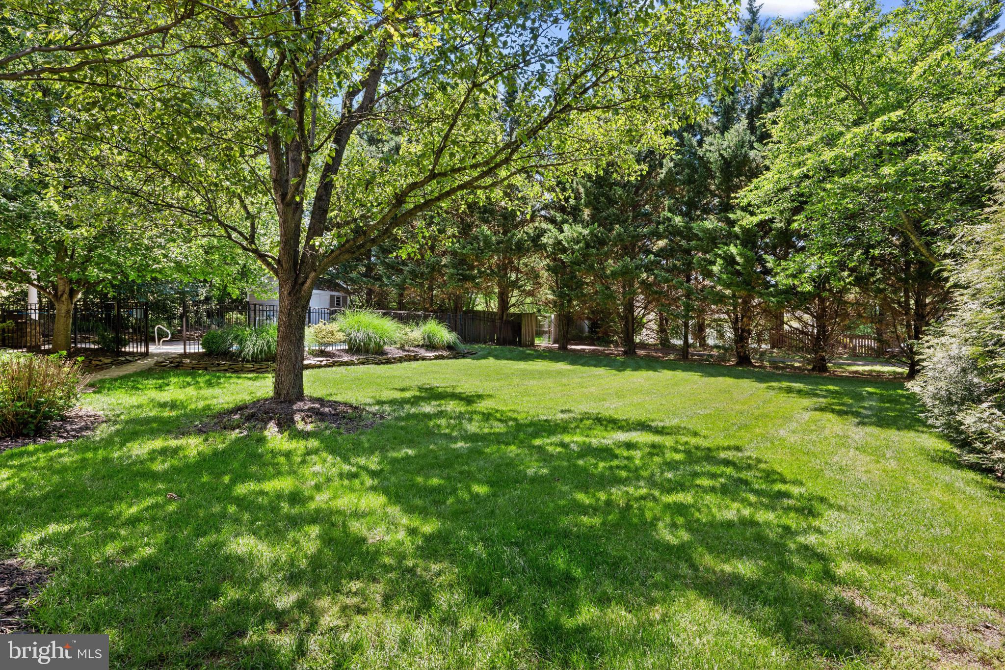 THE MEADOW AT NEW MARKET - Residential