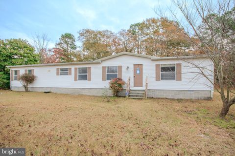 3887 TEXAS ROAD BIVALVE MD 21814