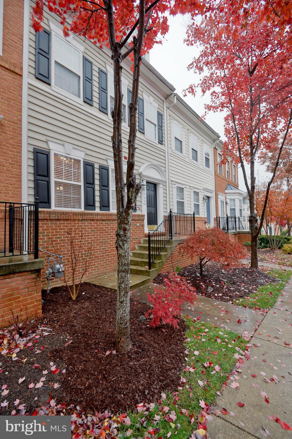 TOWN CENTER AT CAMP SPRINGS - Residential