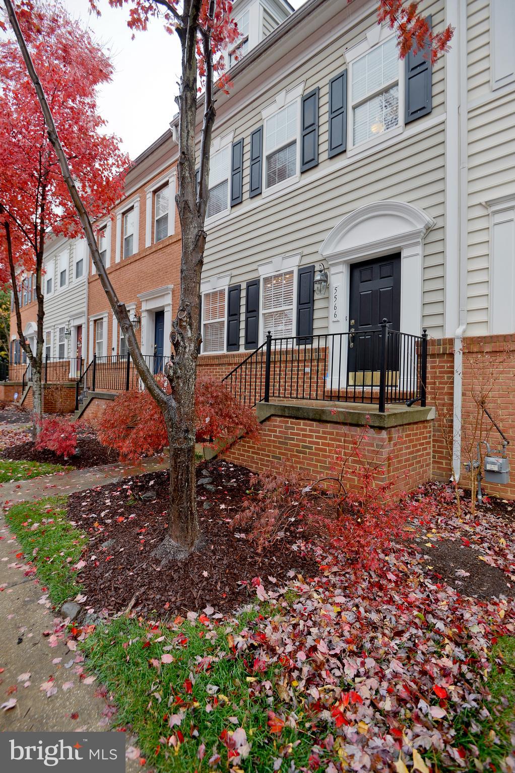 TOWN CENTER AT CAMP SPRINGS - Residential