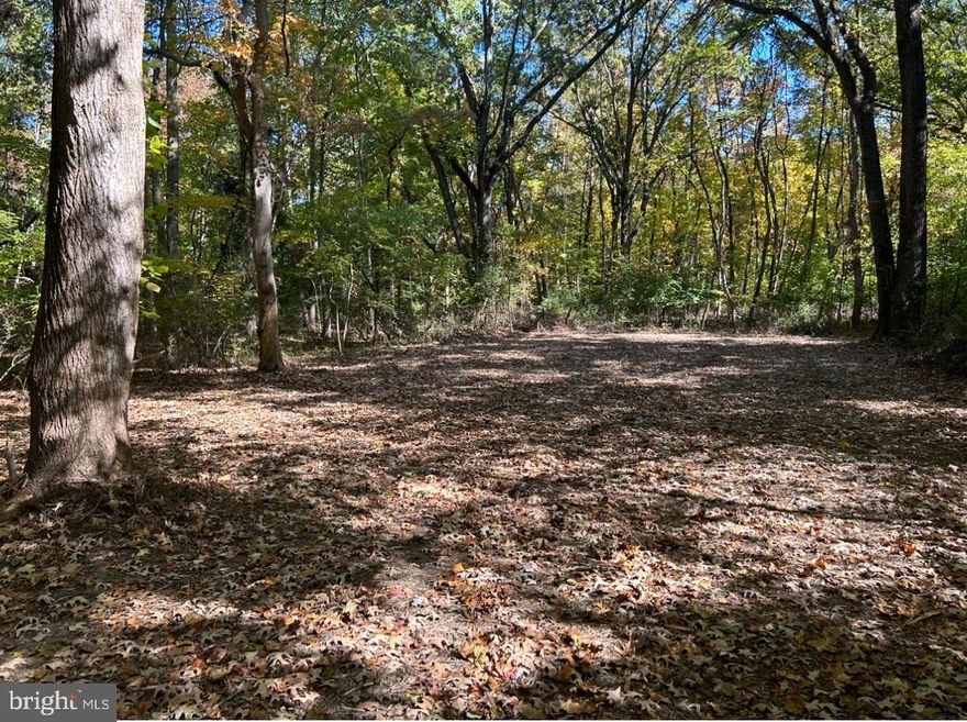 One parcel comprised of 2 cleared lots in Tolchester Estates. The community is on the Chesapeake Bay and the residents have access to the beach and there is a marina close by.
County states water/sewer allocation is available. Buyer to confirm with due diligence.
