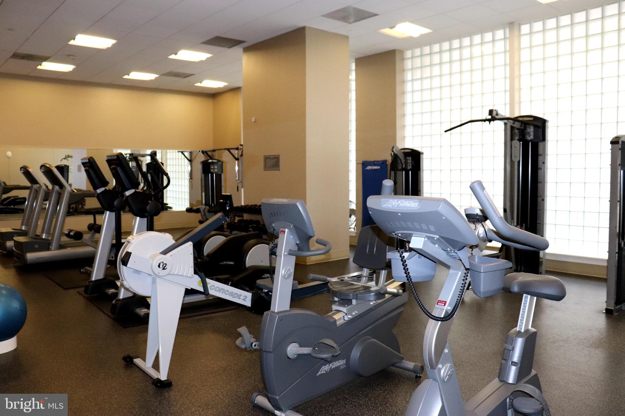 THE PHOENIX CONDOMINIUMS - Residential Lease