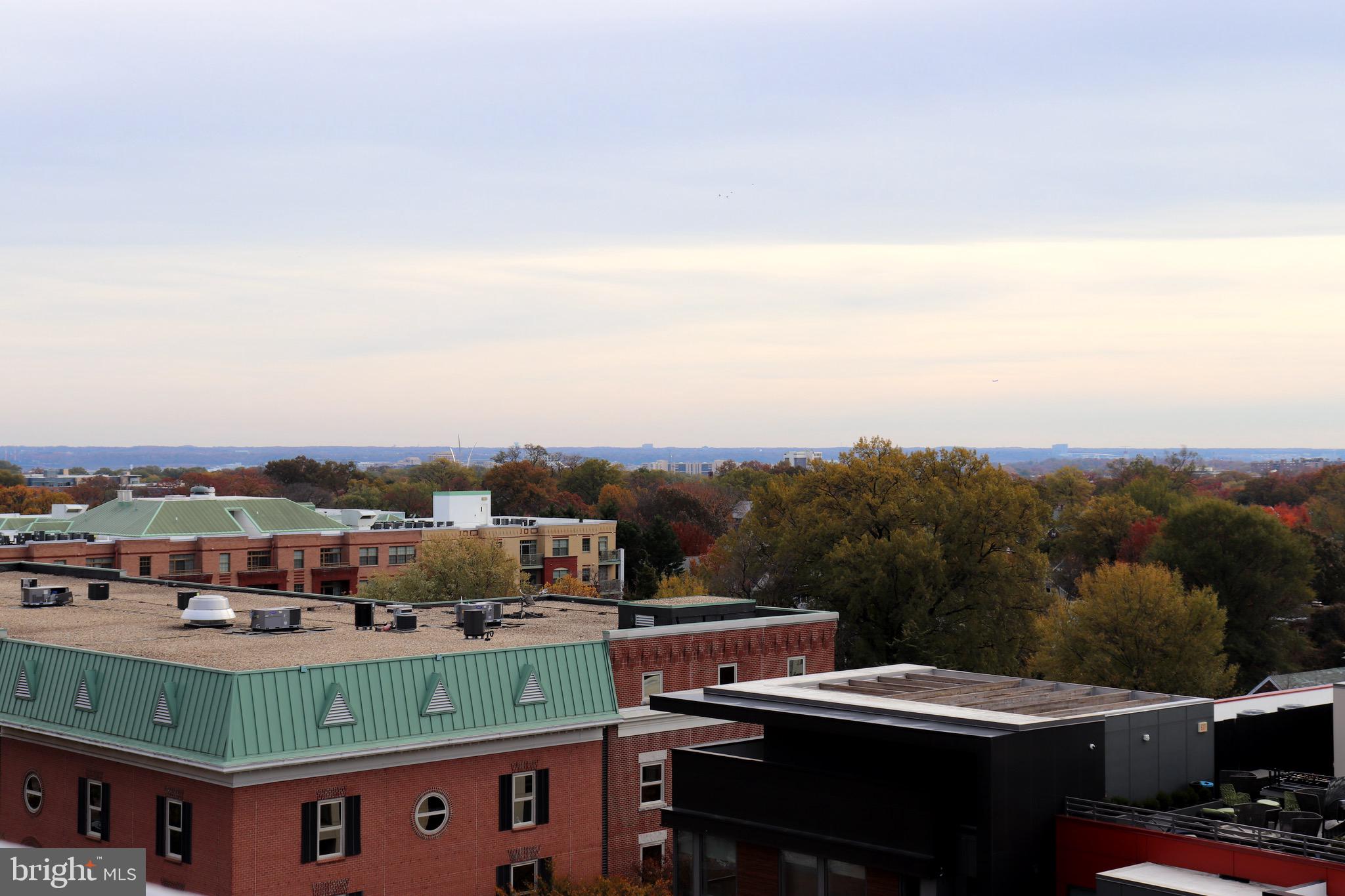 THE PHOENIX CONDOMINIUMS - Residential Lease