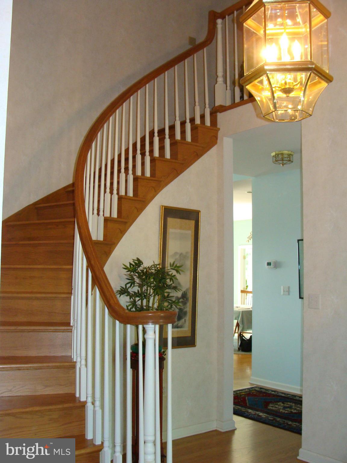 THE WOODS - Residential