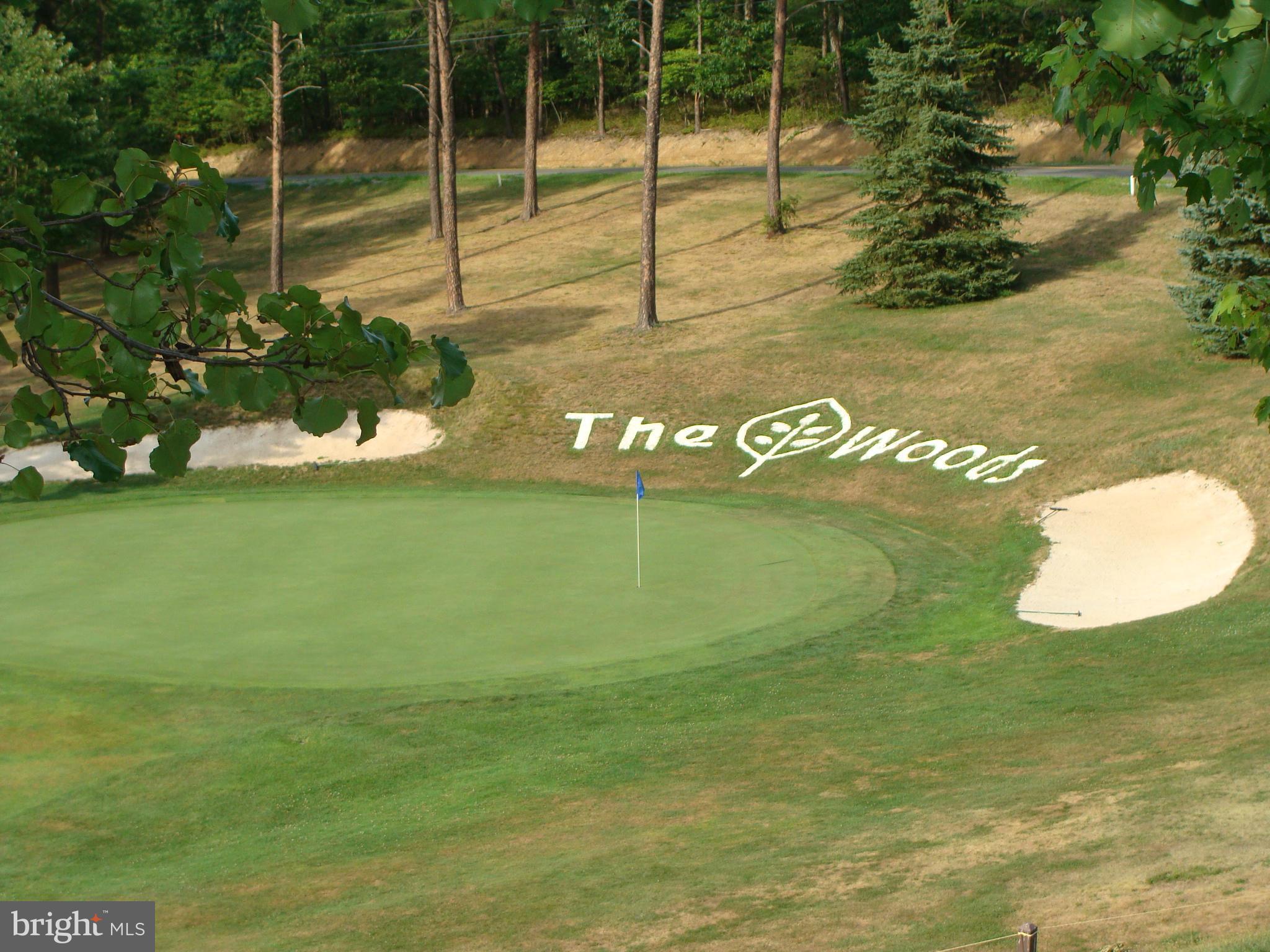 THE WOODS - Residential