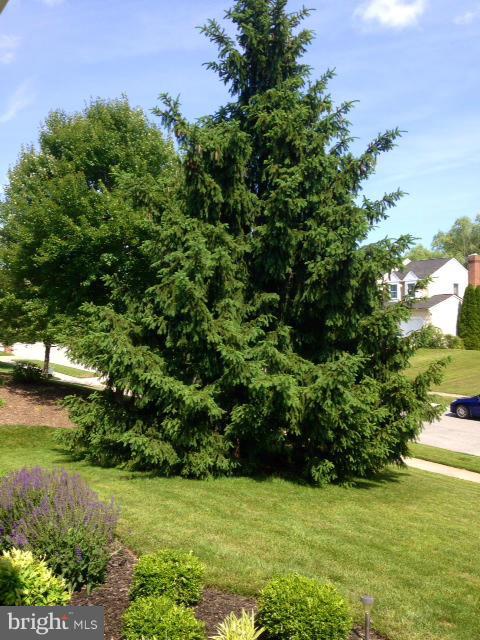 GLENWOOD GARTH - Residential Lease