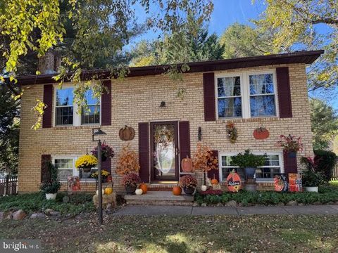 7090 SADDLE DRIVE SYKESVILLE MD 21784