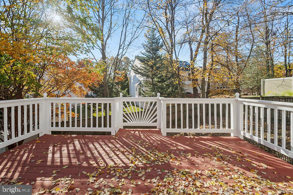 1843 DISNEY ESTATES CIRCLE