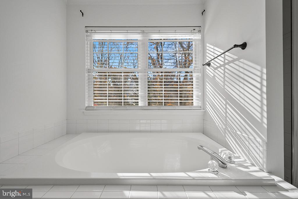 DISNEY ESTATES - Residential