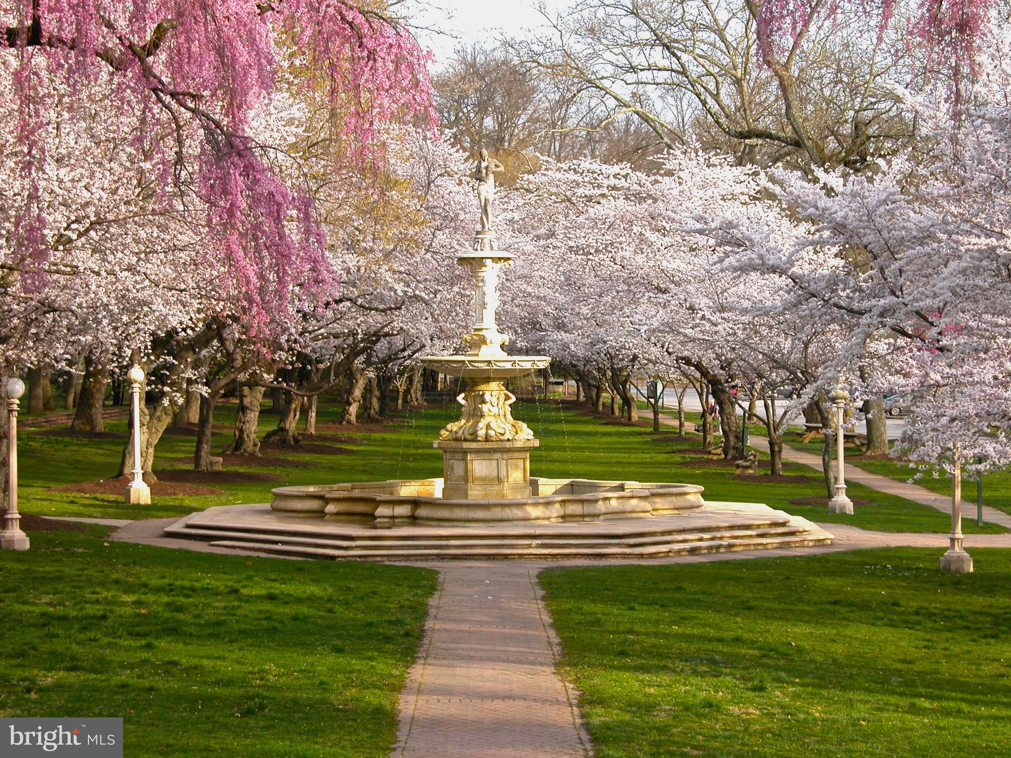 BAYNARD BOULEVARD - Residential