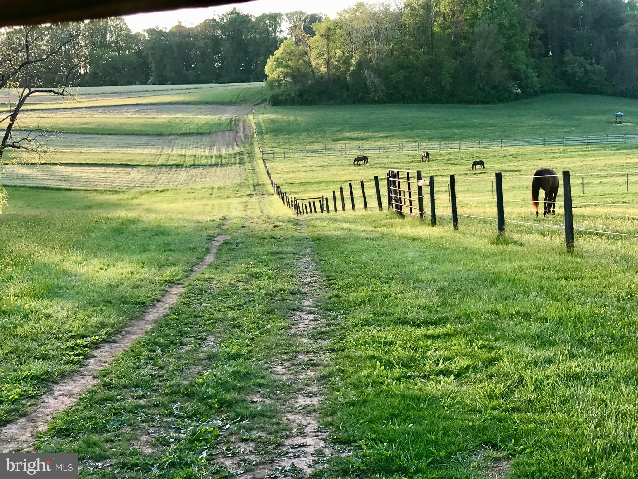 BAYNARD BOULEVARD - Residential