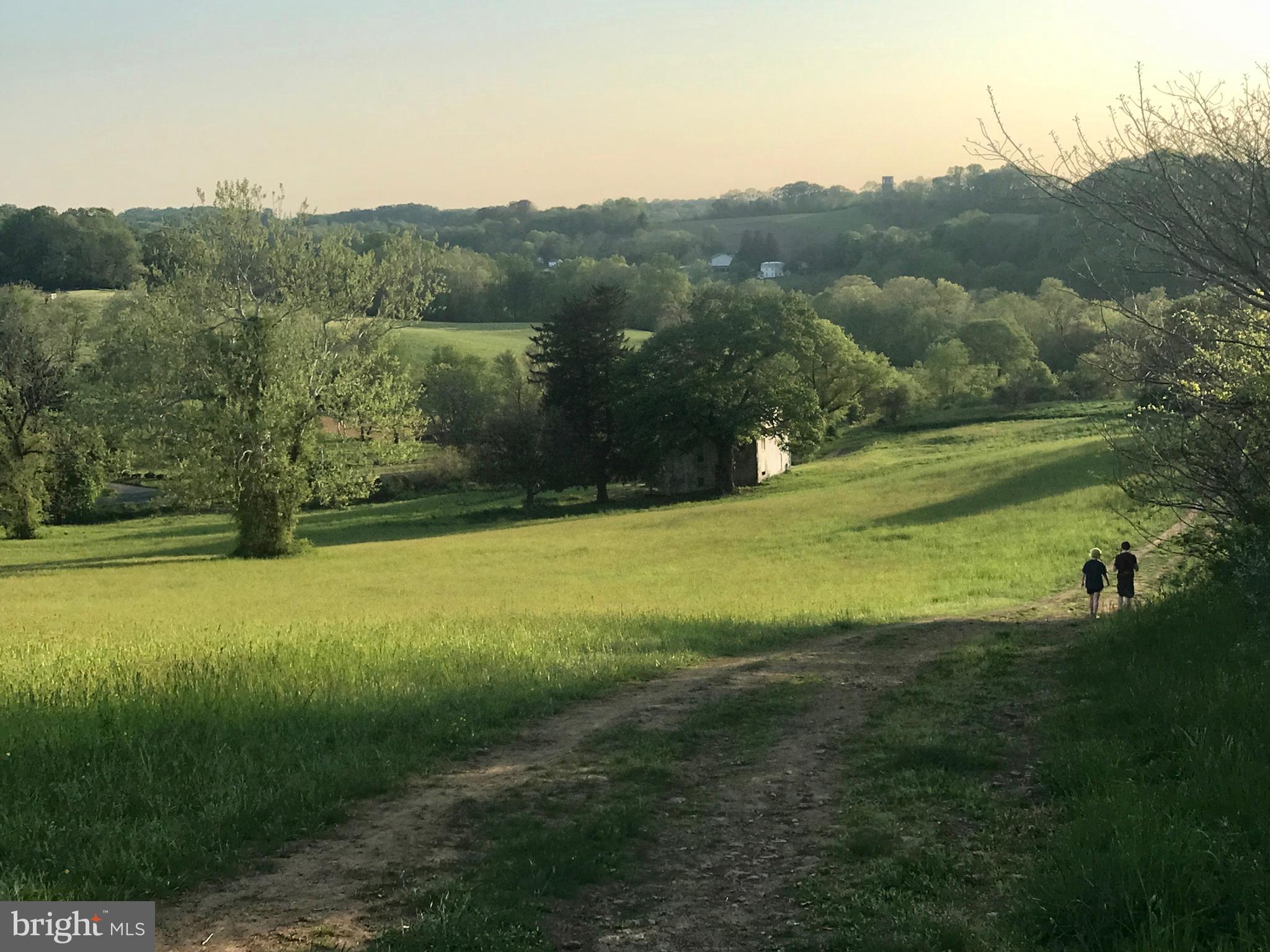 BAYNARD BOULEVARD - Residential